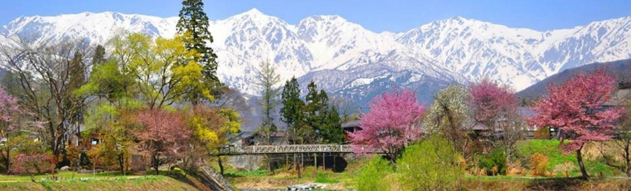 Balls Deep Inn Villas 하쿠바 외부 사진